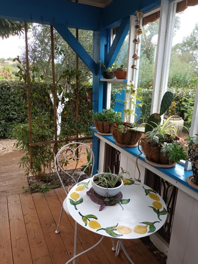 La Cabane Du Pecheur Mèze Kültér fotó
